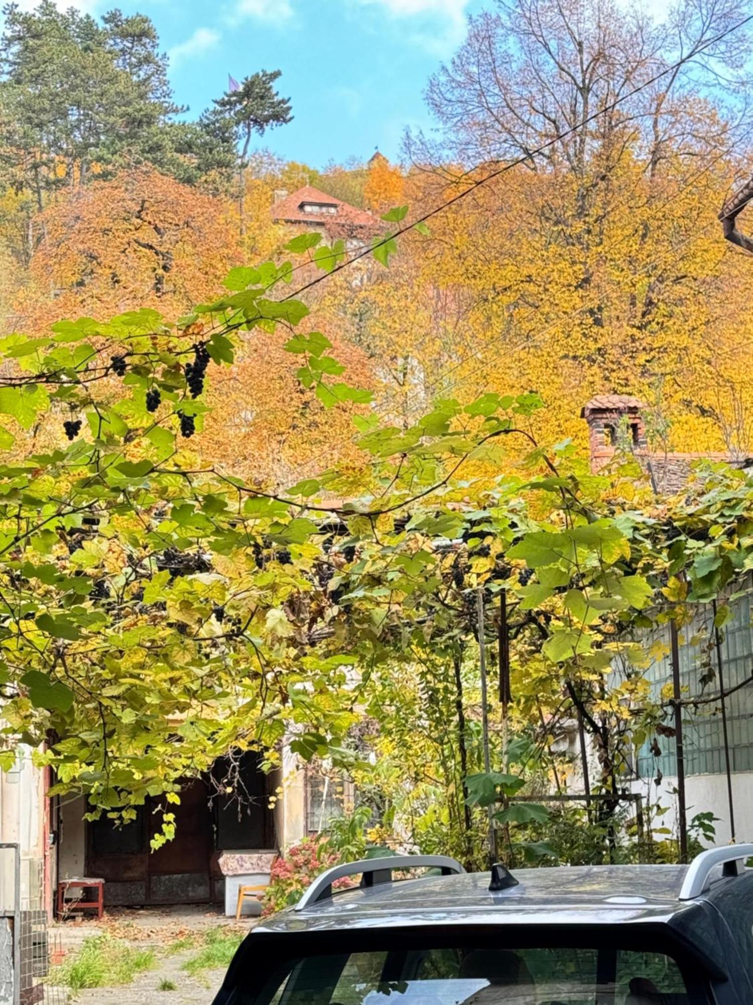 Villa Casa Ming Braşov Exterior foto